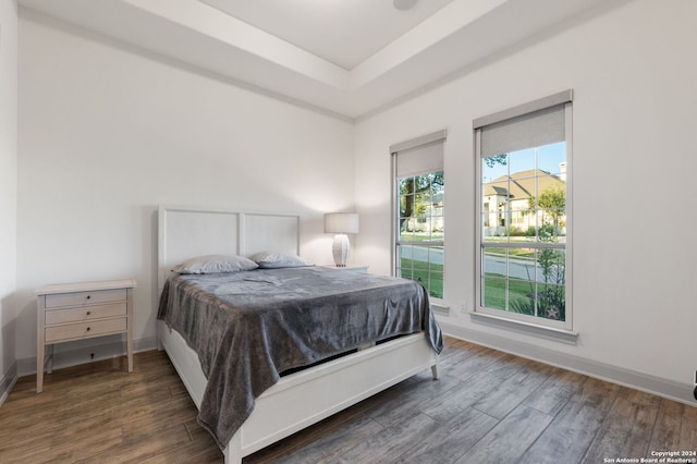 bedroom featuring a raised ceiling and dark hardwood / wood-style flooring