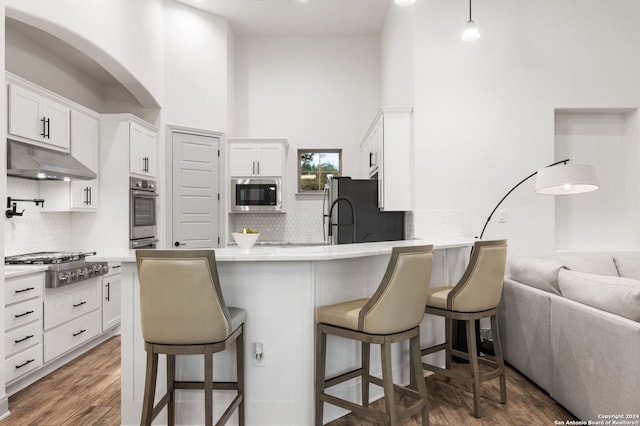 kitchen with backsplash, hardwood / wood-style floors, a high ceiling, a kitchen bar, and stainless steel appliances