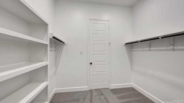 spacious closet featuring carpet floors