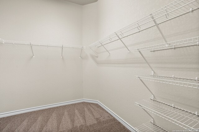 spacious closet with carpet