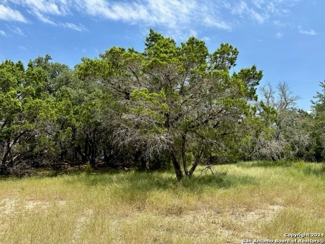 118 Water Oak Ln, Canyon Lake, TX 78133