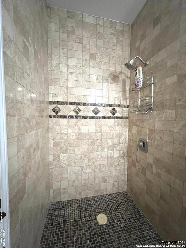 full bathroom with a tile shower