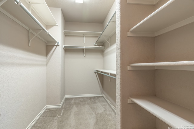 spacious closet with light carpet