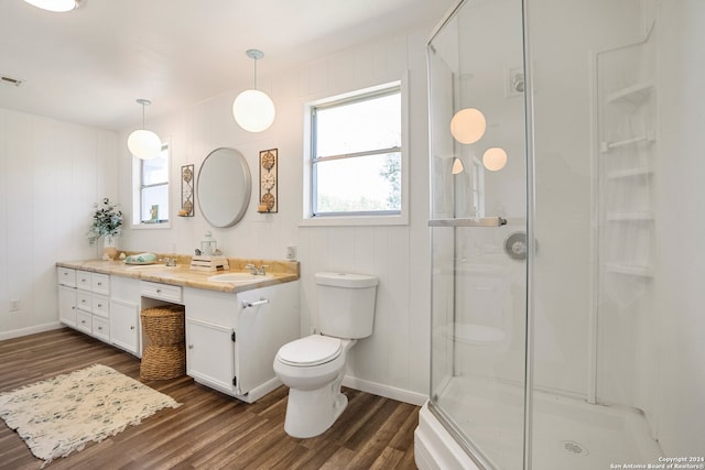 bathroom with a shower with door, hardwood / wood-style floors, and vanity