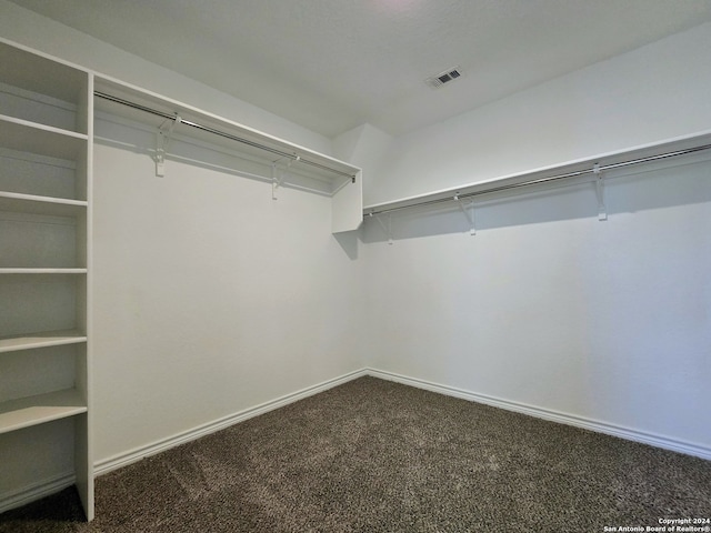 spacious closet with carpet floors