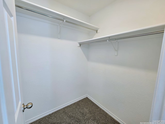 walk in closet with carpet