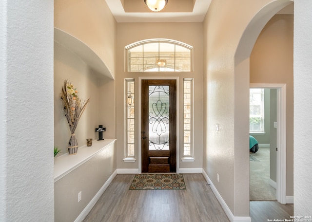 foyer with a tray ceiling, a high ceiling, and wood-type flooring