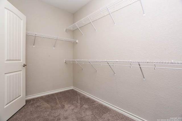 walk in closet with carpet floors