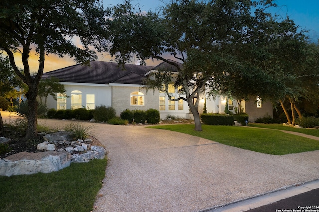 view of front facade with a yard