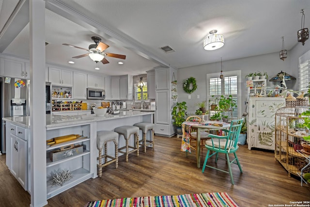 735 Hot Shot Ln, Mcqueeney, TX 78123 - kitchen with a wealth of natural light, ceiling fan, stainless steel appliances, and dark wood-style flooring