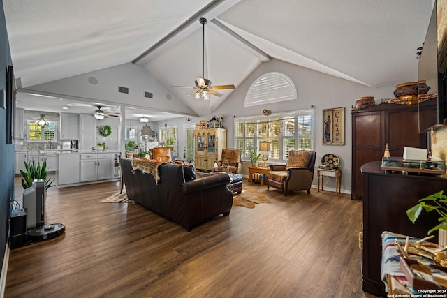 735 Hot Shot Ln, Mcqueeney, TX 78123 - living room featuring beam ceiling, a ceiling fan, dark wood-style flooring, and a wealth of natural light