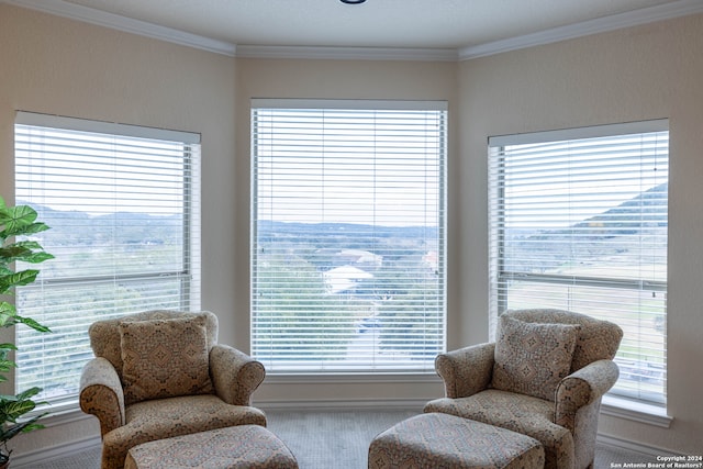 living area with crown molding