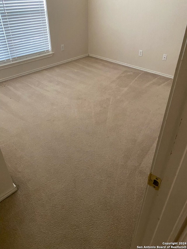 spare room with carpet floors