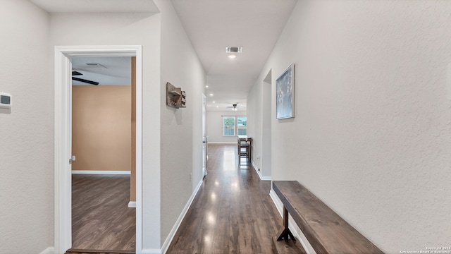 hallway featuring dark wood-type flooring