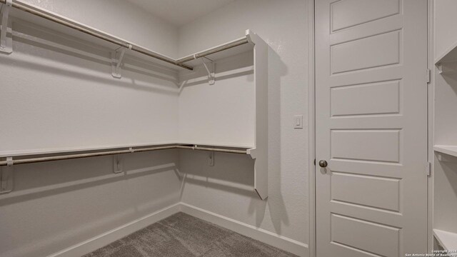 spacious closet featuring carpet floors