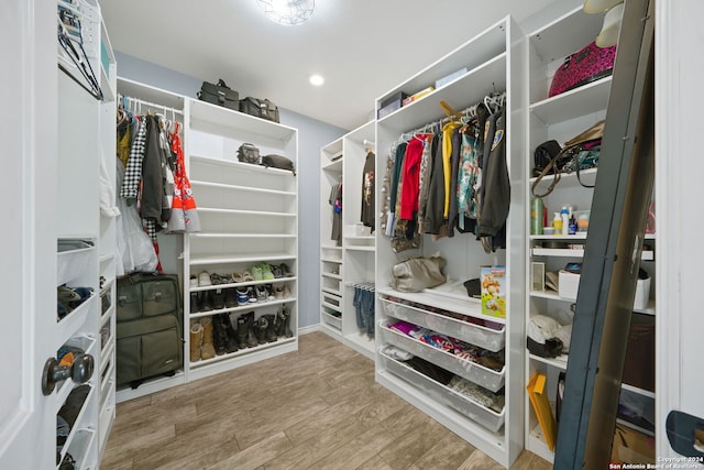 spacious closet featuring wood finished floors