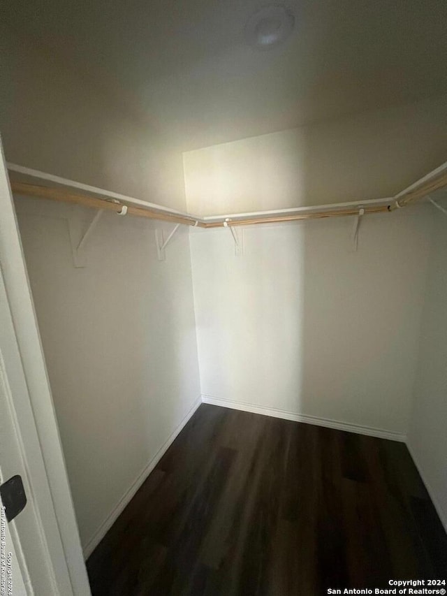 walk in closet featuring dark wood-type flooring