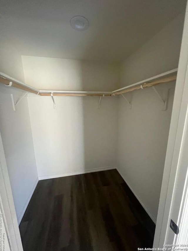 spacious closet featuring dark hardwood / wood-style flooring