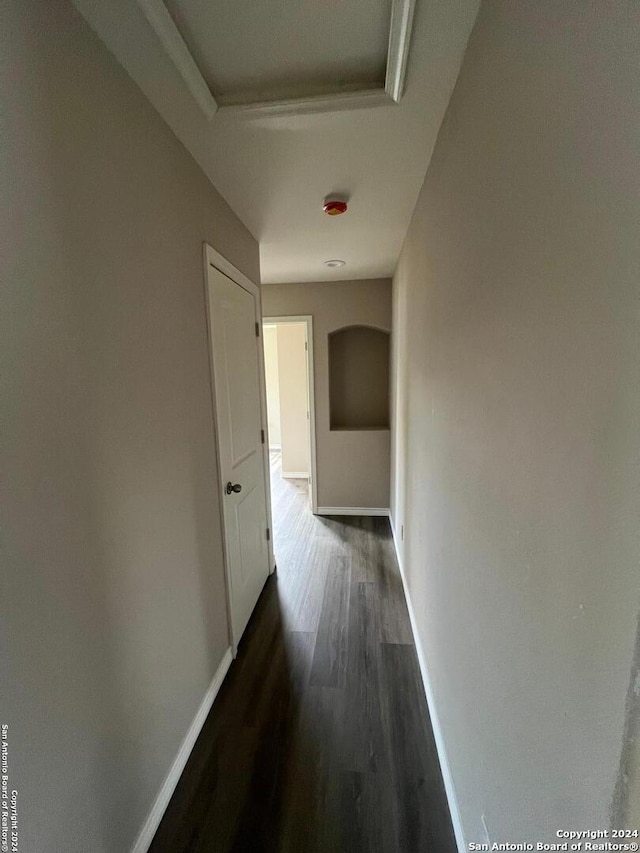 corridor with dark wood-type flooring and a raised ceiling