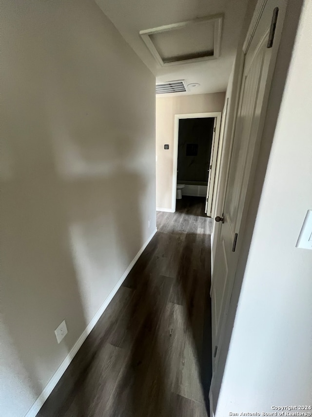 hallway featuring dark wood-type flooring