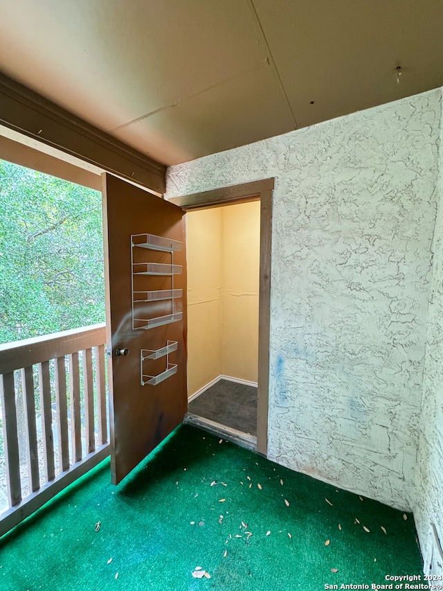 unfurnished bedroom featuring carpet floors and multiple windows