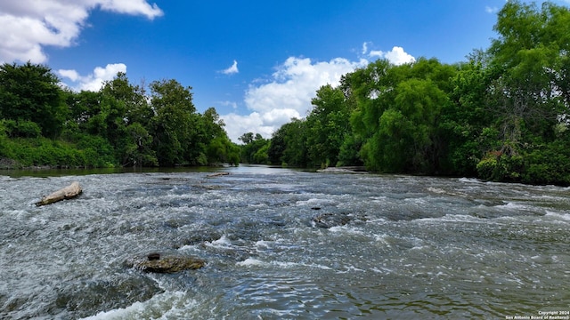 view of nature featuring a wooded view and a water view