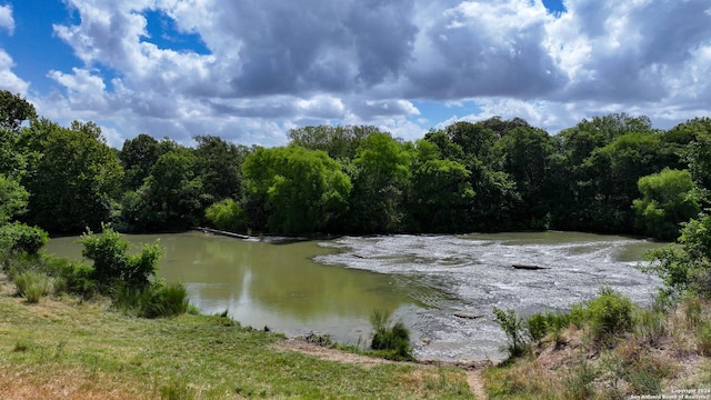 property view of water featuring a forest view