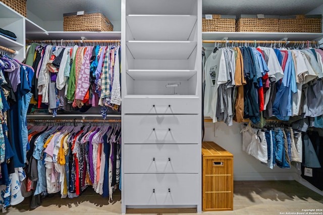 view of spacious closet