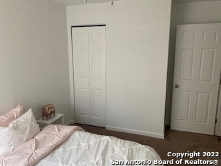 bedroom featuring carpet floors and a closet