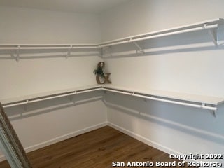 walk in closet with dark hardwood / wood-style flooring