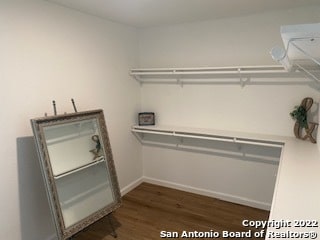 walk in closet featuring dark hardwood / wood-style flooring