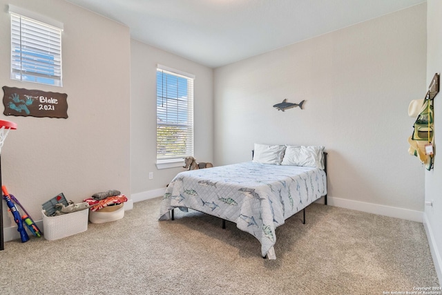 bedroom featuring carpet