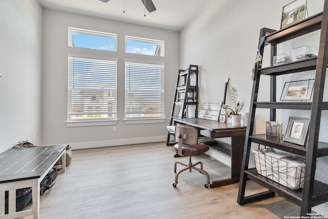 office with ceiling fan and light hardwood / wood-style flooring