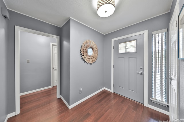 entrance foyer with dark wood-type flooring