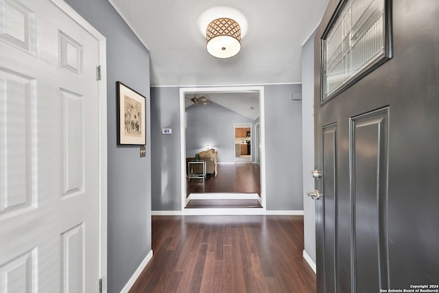 corridor featuring dark wood-type flooring