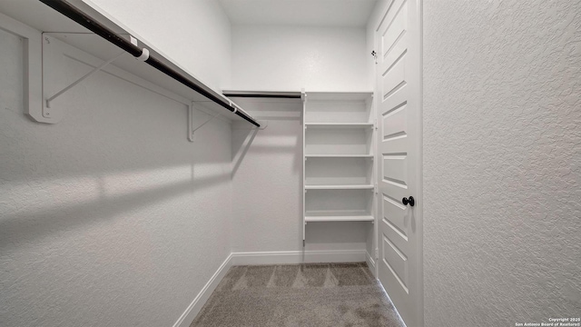 14213 Ravens Cv, San Antonio, TX 78254 - walk in closet with carpet floors