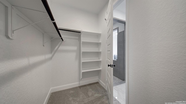 14213 Ravens Cv, San Antonio, TX 78254 - walk in closet featuring carpet flooring