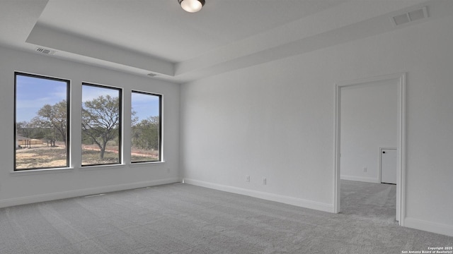 14213 Ravens Cv, San Antonio, TX 78254 - carpeted empty room with a tray ceiling, baseboards, and visible vents