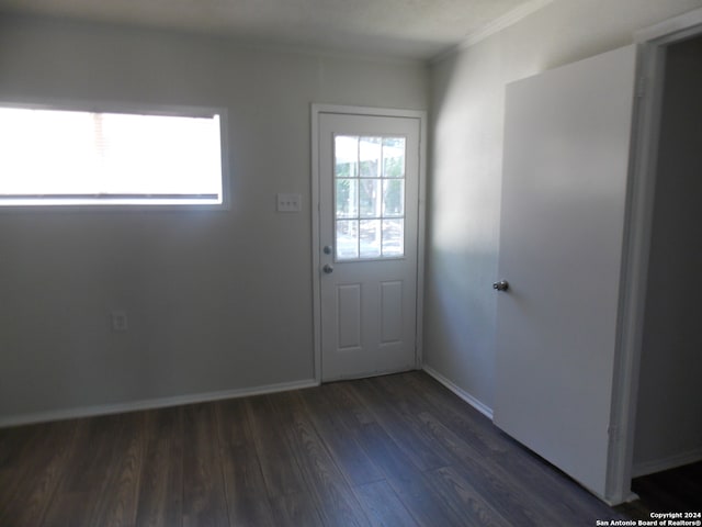 doorway featuring dark hardwood / wood-style flooring