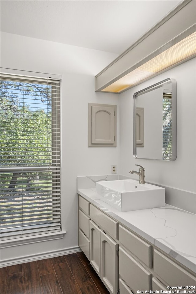 bathroom featuring hardwood / wood-style floors, vanity, and a healthy amount of sunlight