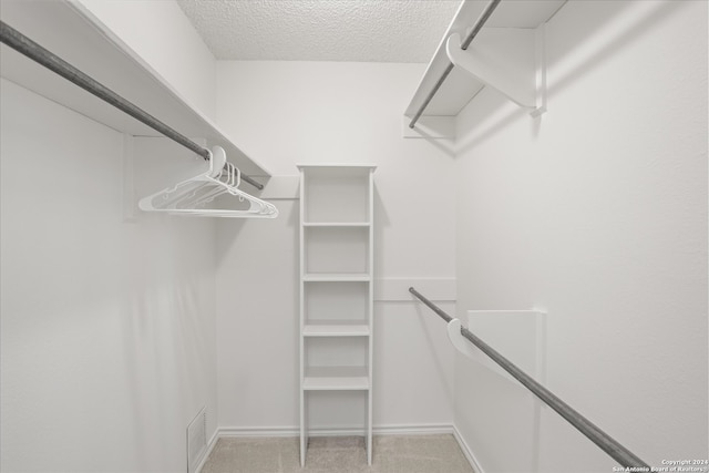 walk in closet with light carpet