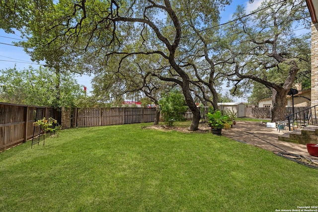 view of yard featuring a patio area