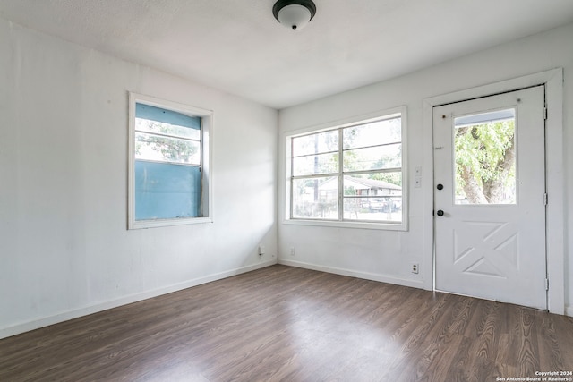 entryway featuring dark wood-type flooring