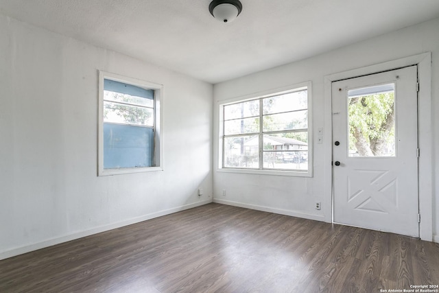 foyer entrance featuring dark wood-style flooring, plenty of natural light, and baseboards