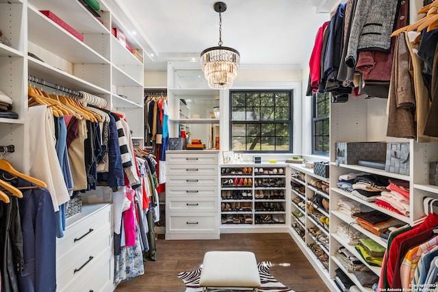 walk in closet with dark wood-type flooring and a chandelier