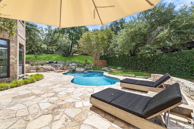 view of pool with a patio area