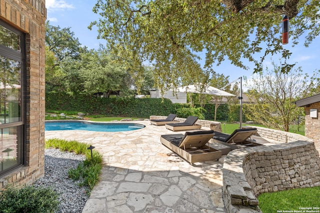 view of pool with a patio