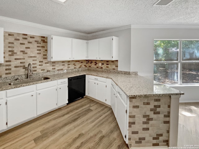 kitchen with black dishwasher, light hardwood / wood-style flooring, sink, and light stone countertops