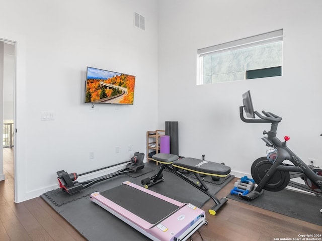 workout room featuring a high ceiling and wood-type flooring