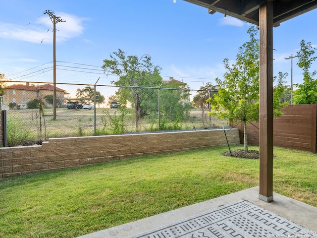 view of yard featuring a patio area